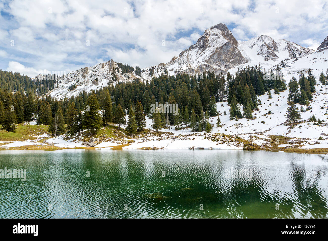 Gantrischseeli, Cantón de Berna, Suiza, Europa. Foto de stock