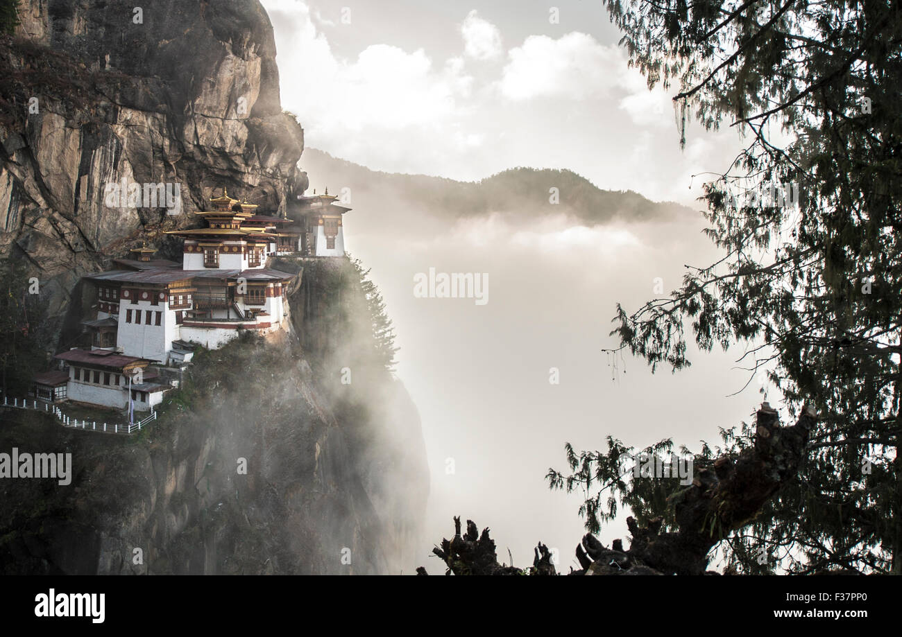 Los Tigres Nido Monasterio (Paro Taktsang) también conocido como monasterio Palphug Taktsang, en el valle de Paro, Bhután. Tomada al amanecer. Foto de stock