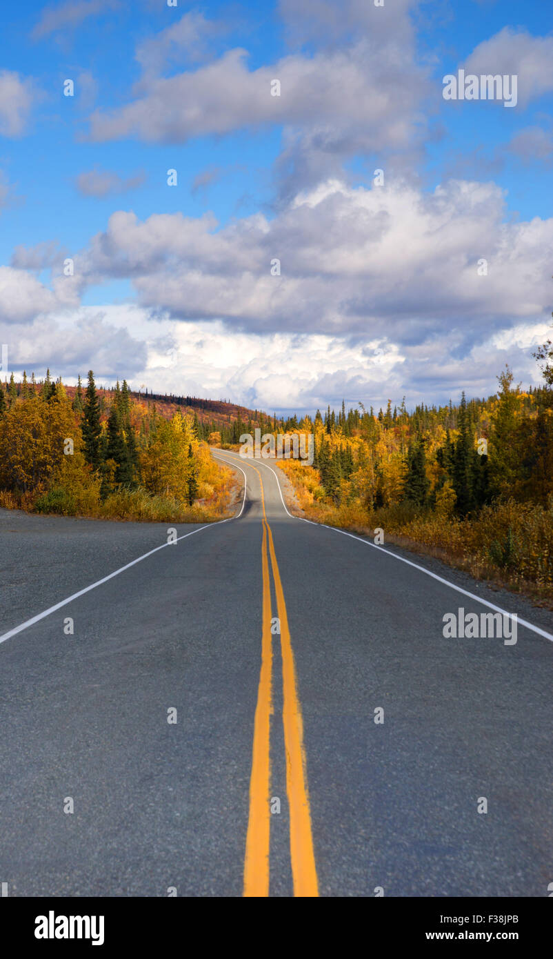 Caída viene a la Alaska Highway Sistema de transporte con amarillo saturado Foto de stock