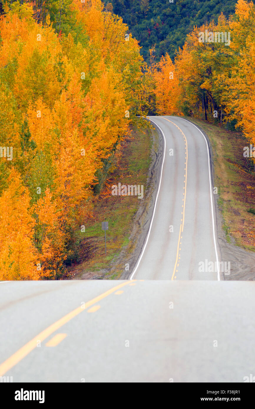 Caída viene a la Alaska Highway Sistema de transporte con amarillo saturado Foto de stock