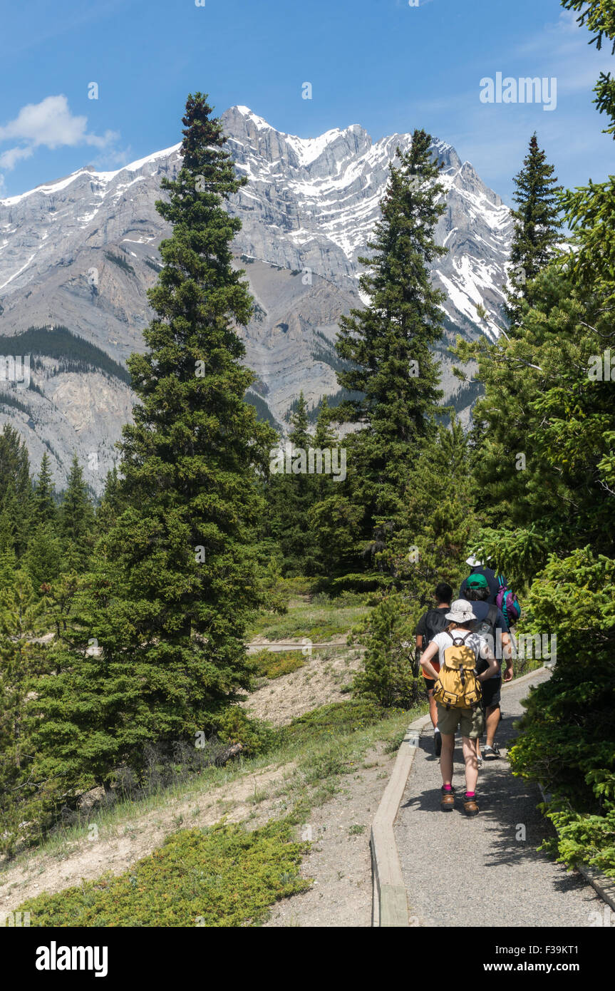 Cuatro personas caminando en el Banff National Park, cerca de Canadian Rockies, Alberta, Canadá Foto de stock