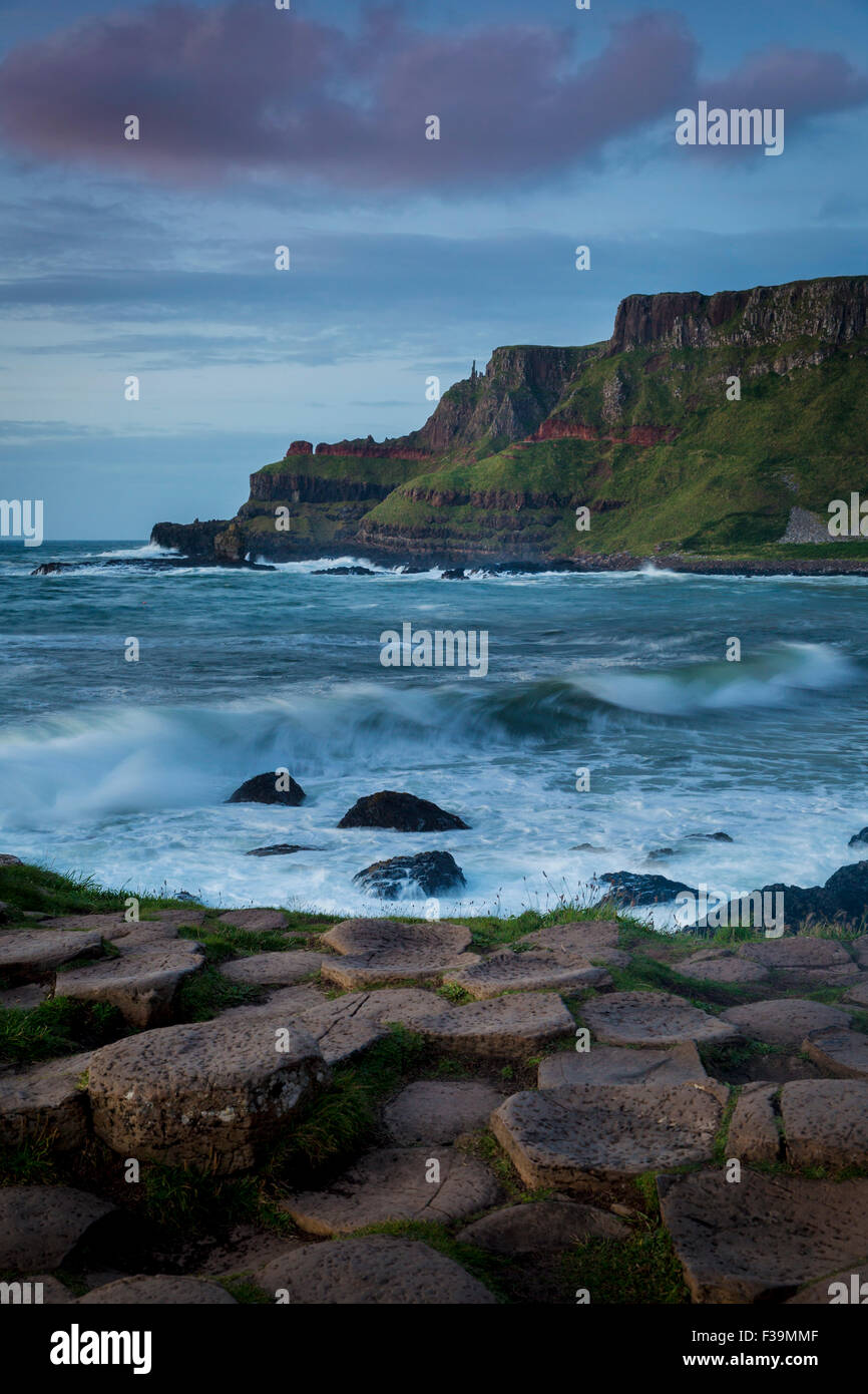 Más tarde la Giant's Causeway y los acantilados de la costa del Condado de Antrim, Irlanda del Norte, REINO UNIDO Foto de stock