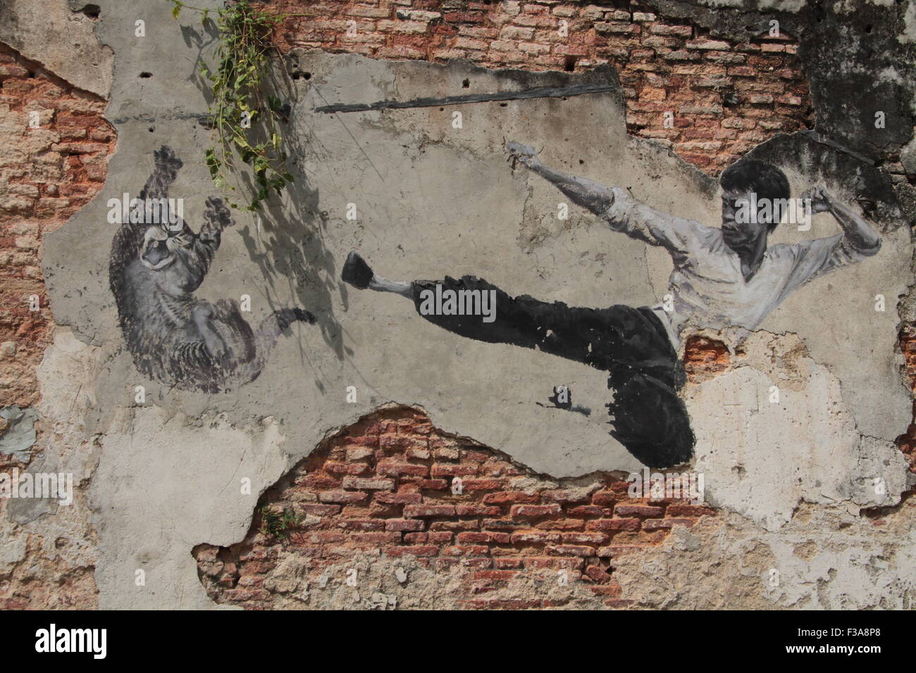Arte en la calle de Bruce Lee patadas cat. Foto de stock