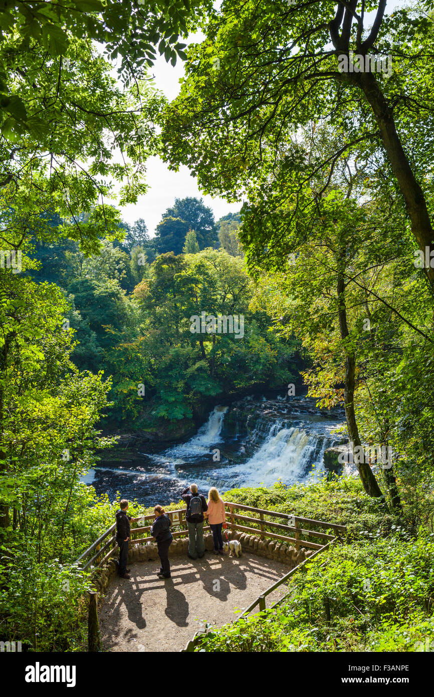 Plataforma de visualización en Oriente Aysgarth Falls, Yorkshire Dales, North Yorkshire, Inglaterra, Reino Unido. Foto de stock