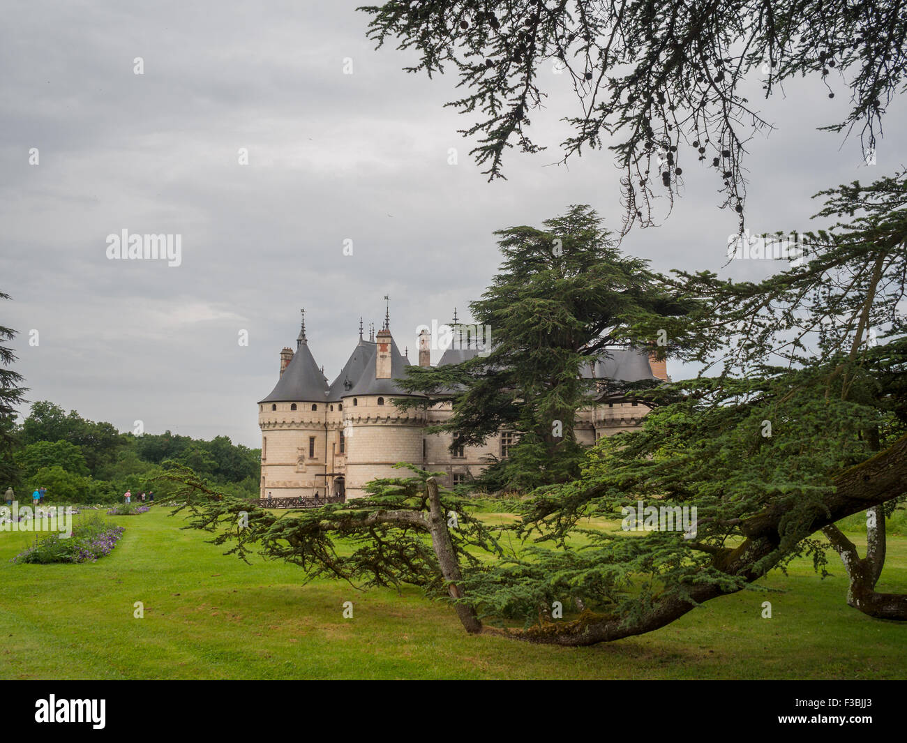 El dominio de Chaumont-sur-Loire park y el castillo Foto de stock