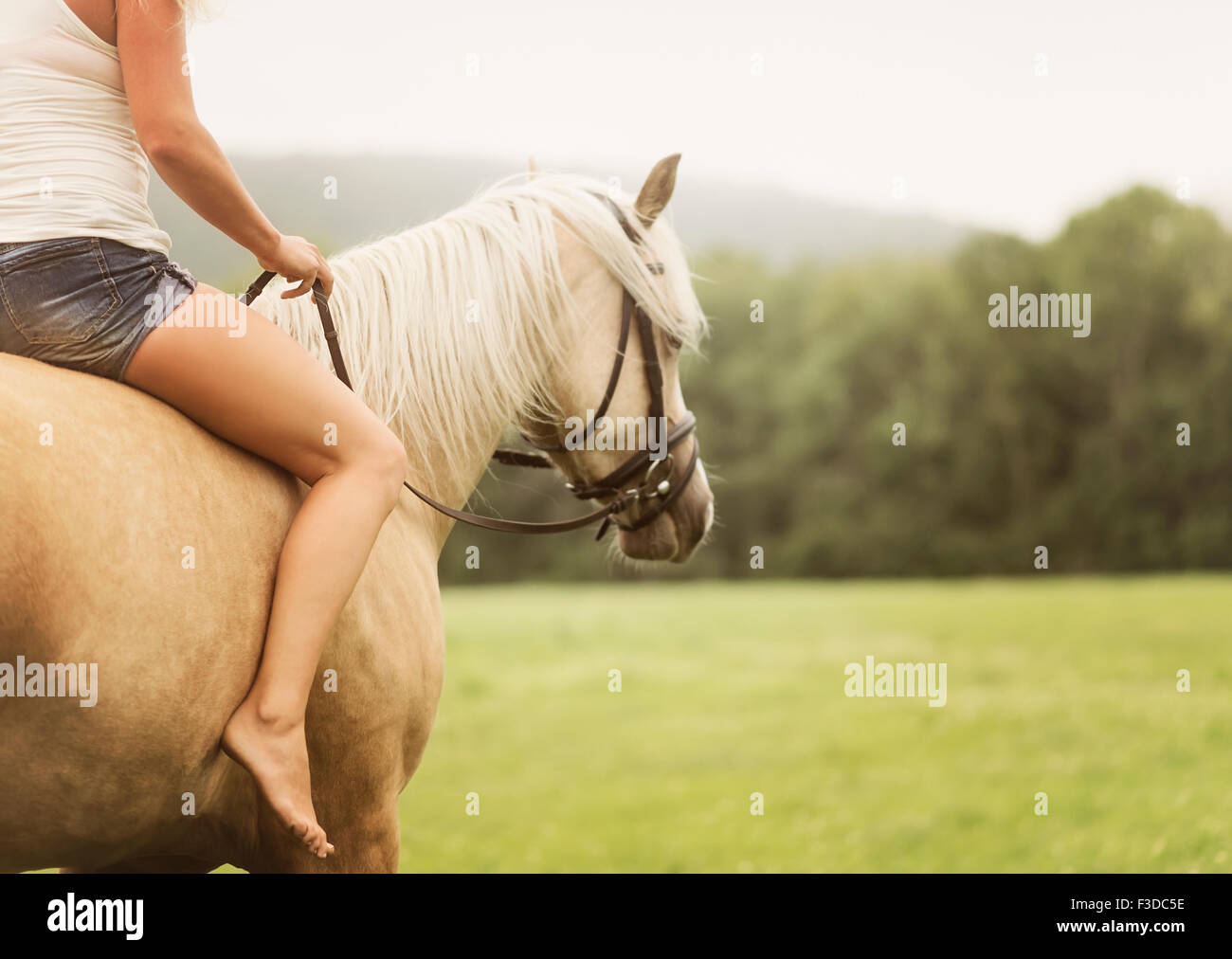 La mujer a caballo en campo Foto de stock