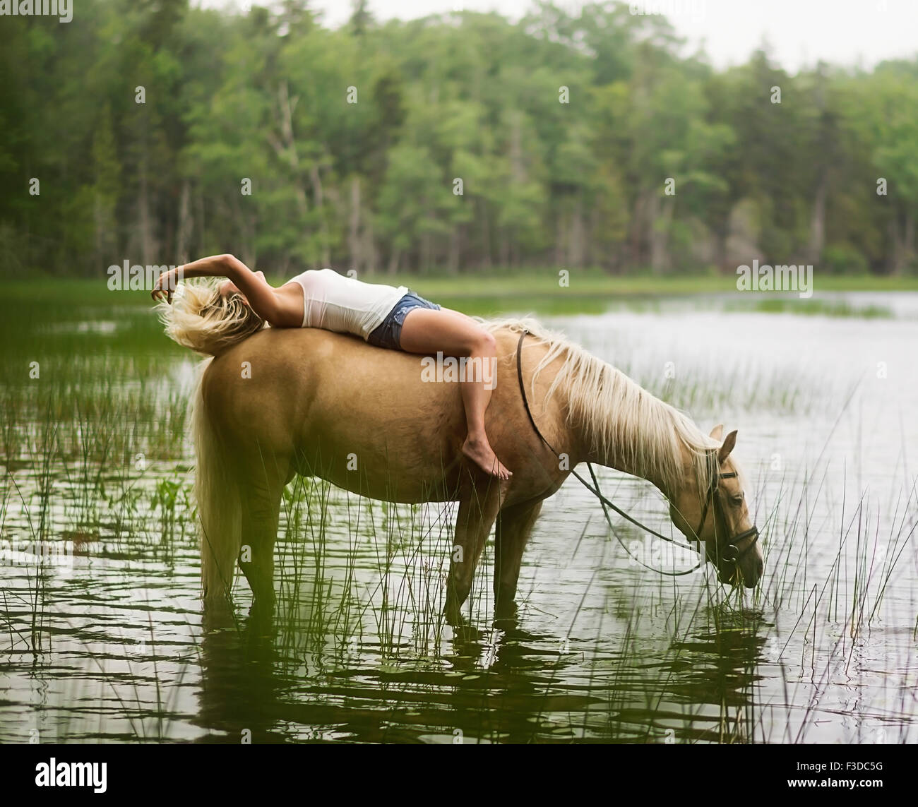 La mujer a caballo en campo Foto de stock
