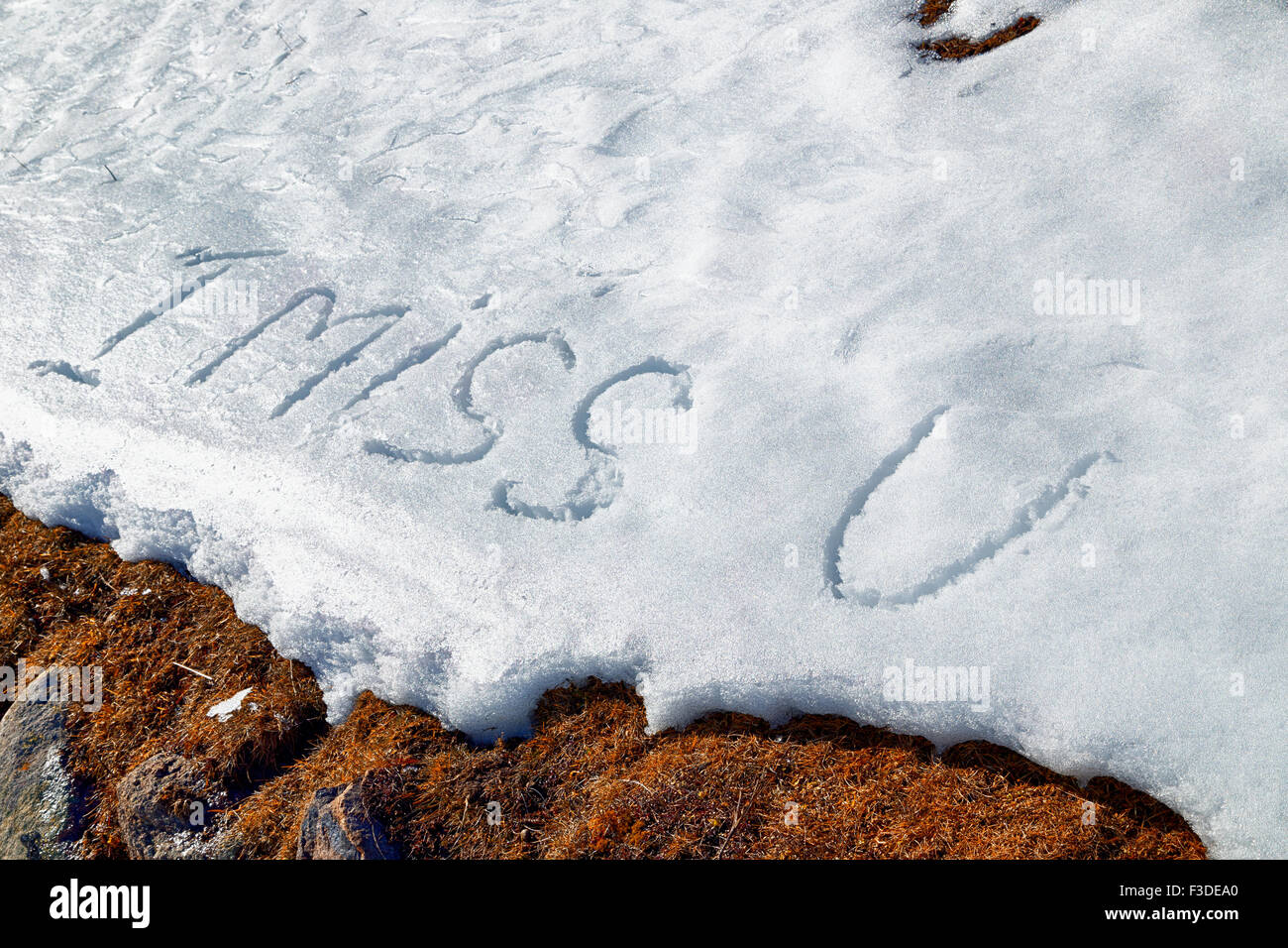 I miss U, frase escrita en letras mayúsculas en el blanco de la nieve congelada mientras brown maleza y musgo en primer plano Foto de stock