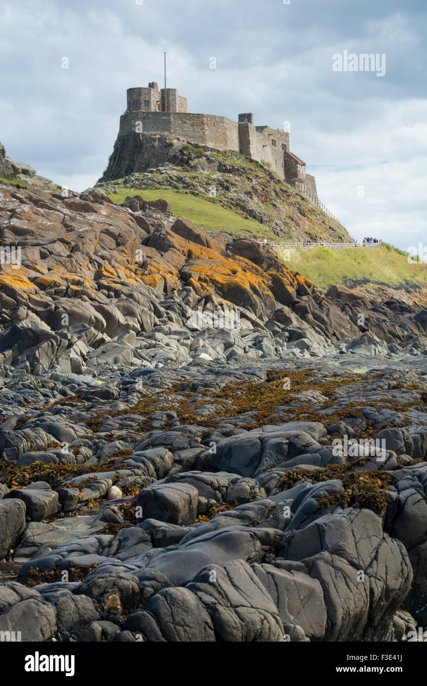 Castillo de Lindisfarne en la sagrada Isla, Inglaterra, Reino Unido. Foto de stock
