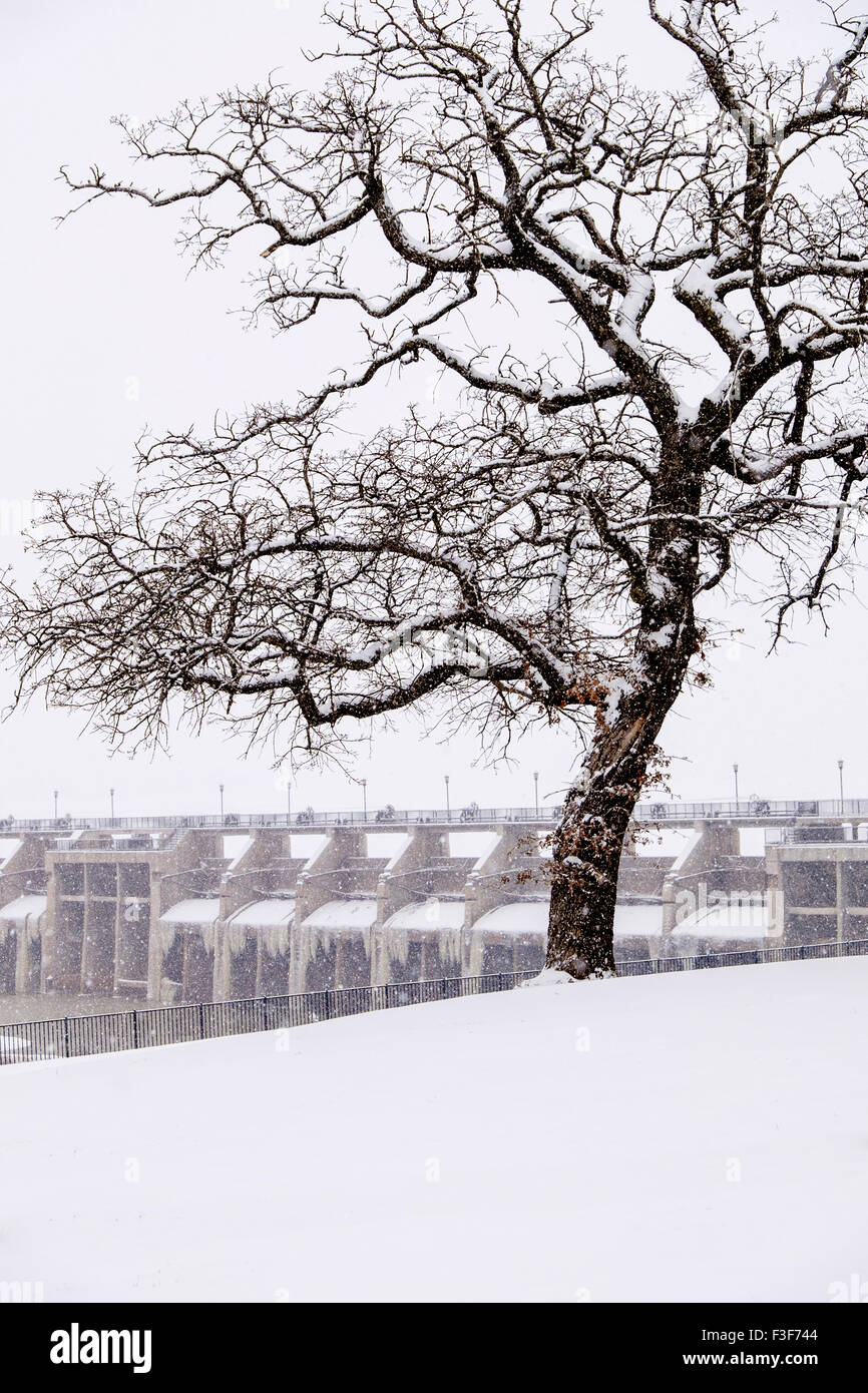 Una escena de nieve en Oklahoma City, Oklahoma, Estados Unidos, mostrando  la represa Overholser y un árbol estéril durante una nevada Fotografía de  stock - Alamy