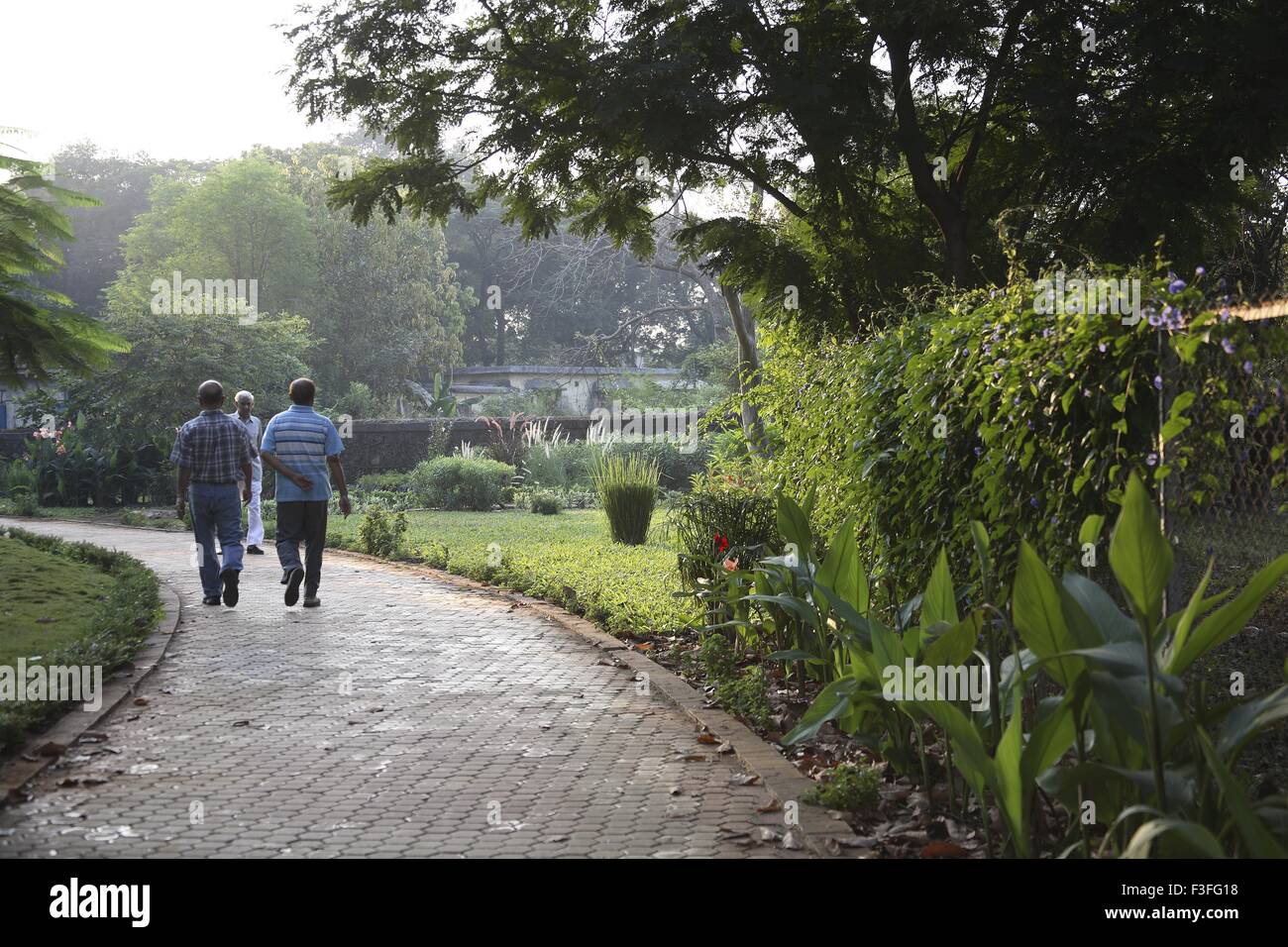 Footing ; personas tomando caminata de la mañana ; una pista de caminata en Bara Bangla área Thane ; ; ; Maharashtra India No, señor Foto de stock