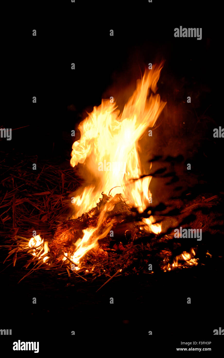 Fogata, llamas de fuego, luz nocturna, fondo de fuego Foto de stock