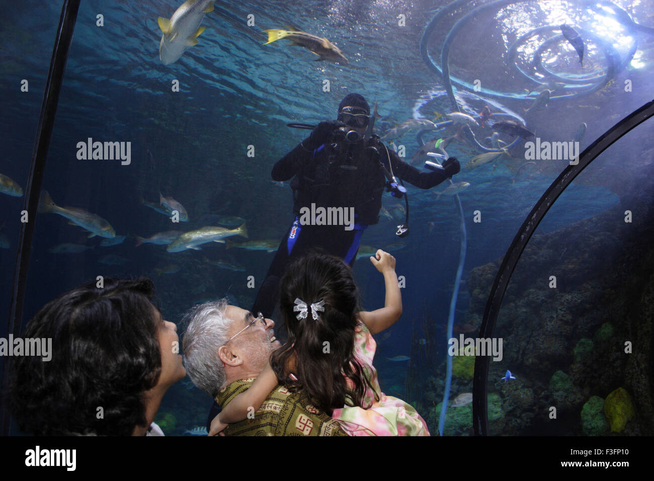 Disfruta de la transmisión submarina dentro de acuario ; Denver ; ESTADOS UNIDOS Estados Unidos de América Foto de stock