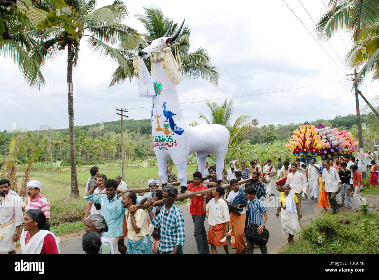 Procesión de Kala kolam bull motif en vela en Chelakkara Anthimahakalan en Thrissur Distrito ; ; Kerala India Foto de stock