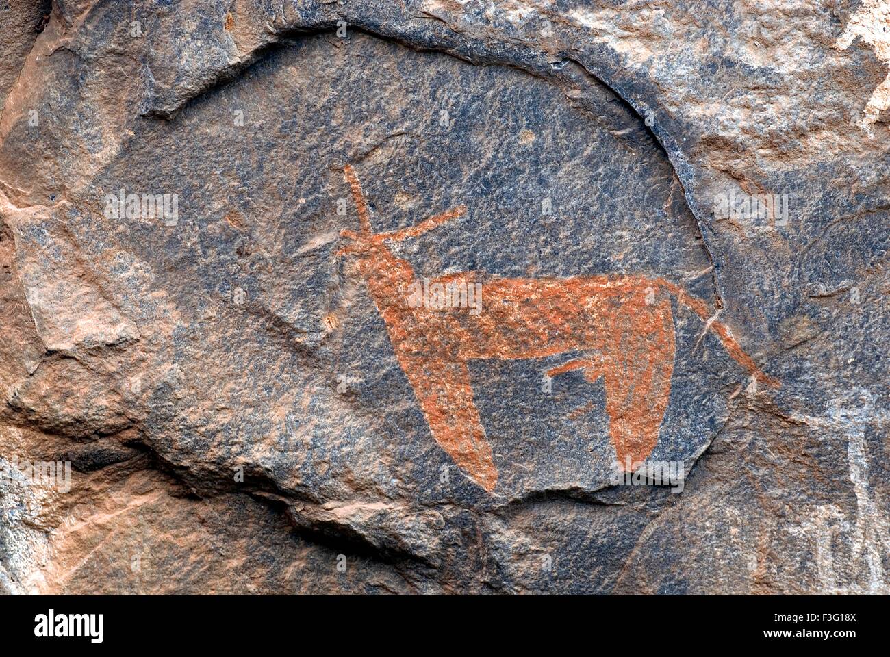 Pinturas rupestres en Porivarai en Nilgiris Karikkiyoor ; ; ; de Tamil Nadu, India Foto de stock