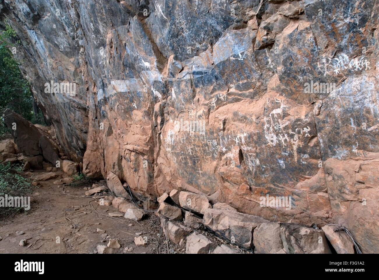 Pinturas rupestres en Porivarai en Nilgiris Karikkiyoor ; ; ; de Tamil Nadu, India Foto de stock