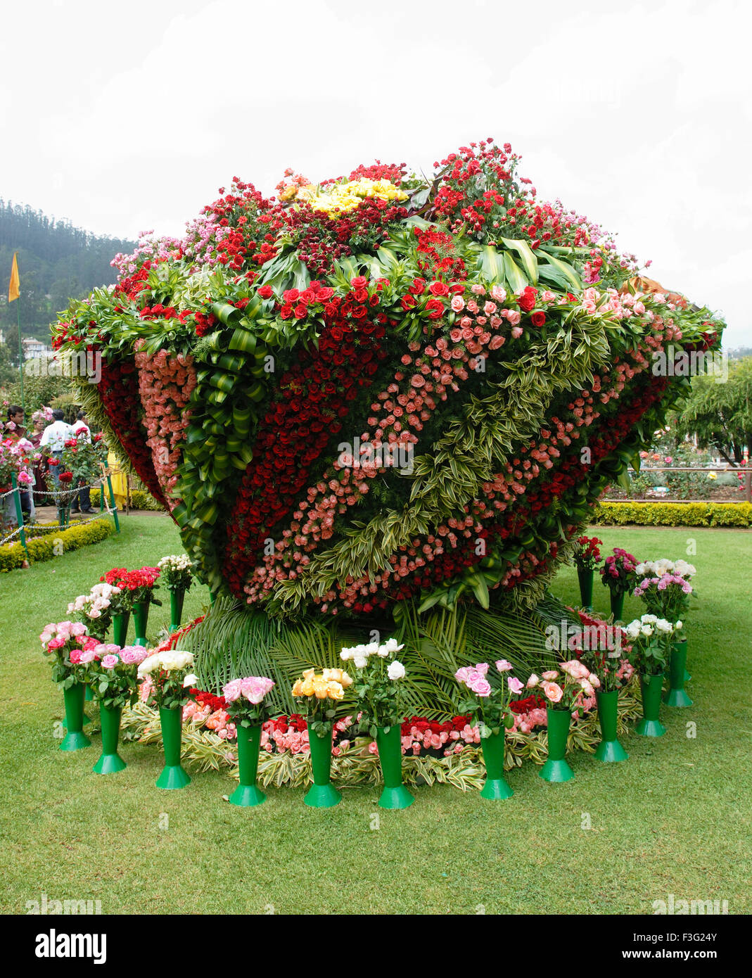 El centenario jardín de rosas o Vijayanagaram Rose Garden Ooty ; ; ; de Tamil Nadu, India Foto de stock