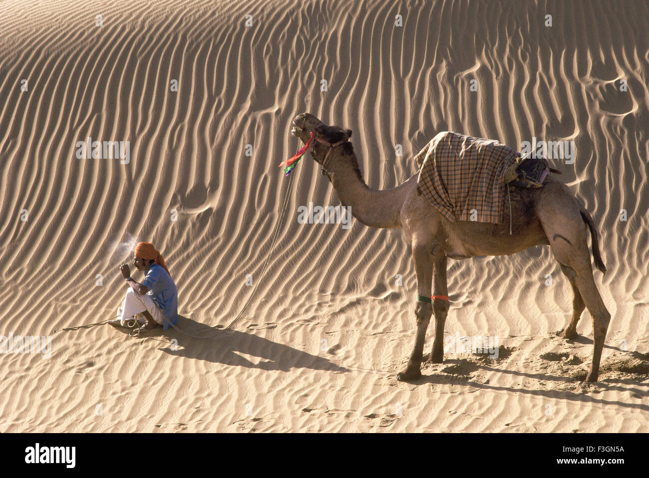 Hechos el uno para el otro ; rajasthani fumar hombre sentado en el desierto y camello detrás de Rajasthani ; ; India Sr. Foto de stock