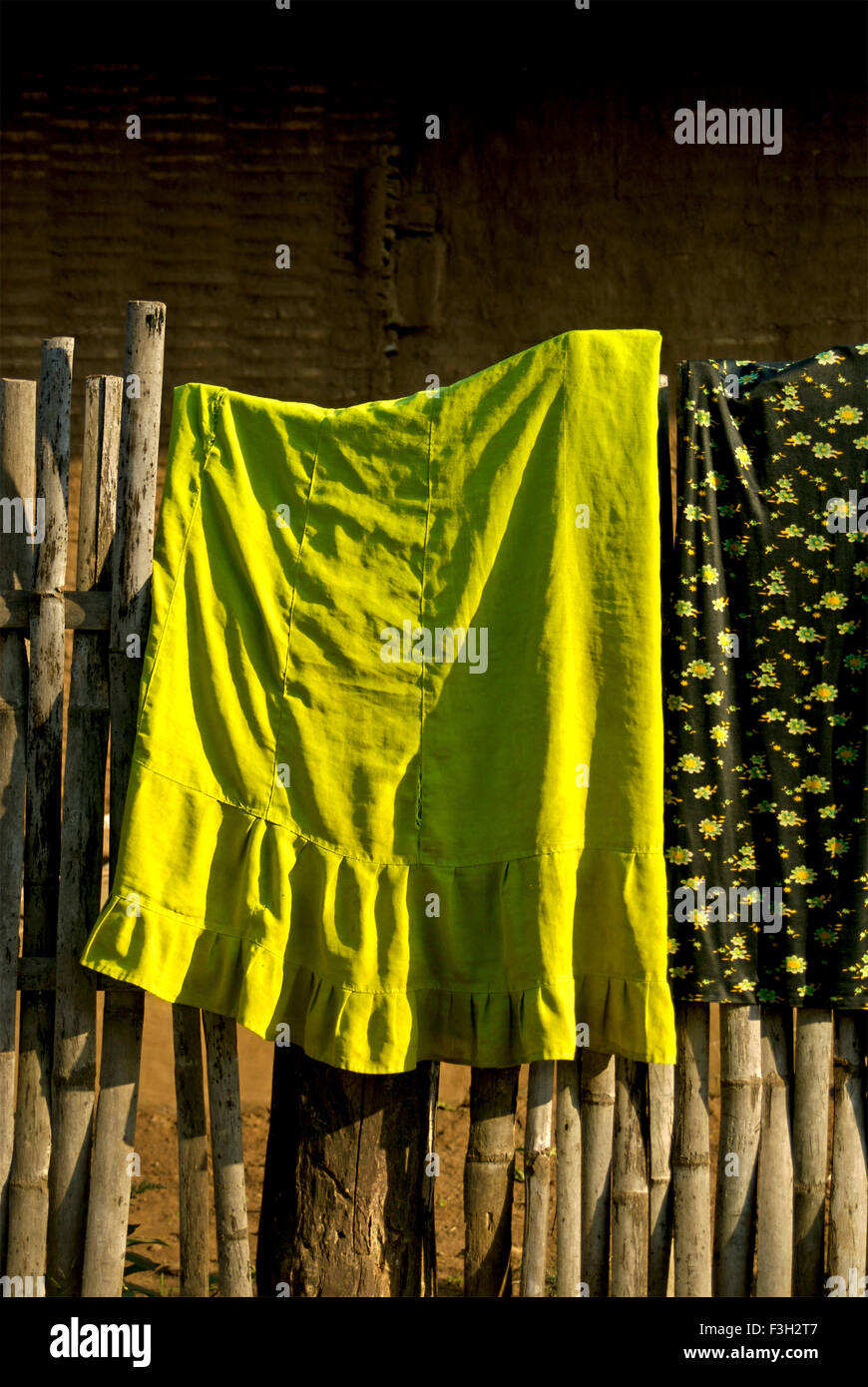 Petticoat secando en la cerca de bambú, Dang bosque, Waghai, Ahwa, Dang, Gujarat, India, Asia Foto de stock