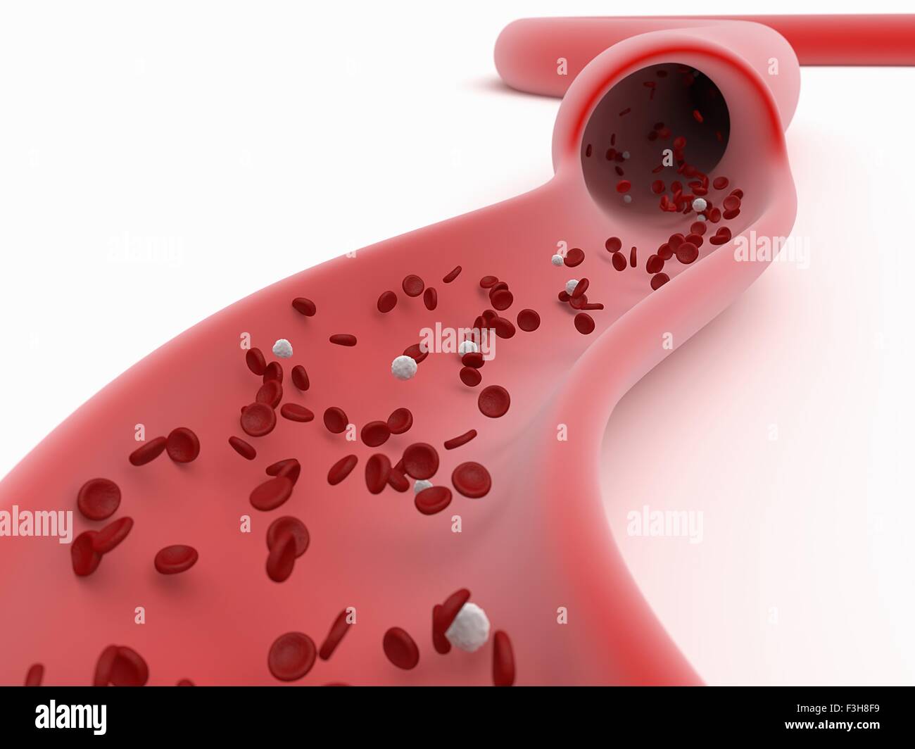 Ilustración 3D que muestra el flujo de glóbulos rojos en un vaso Foto de stock