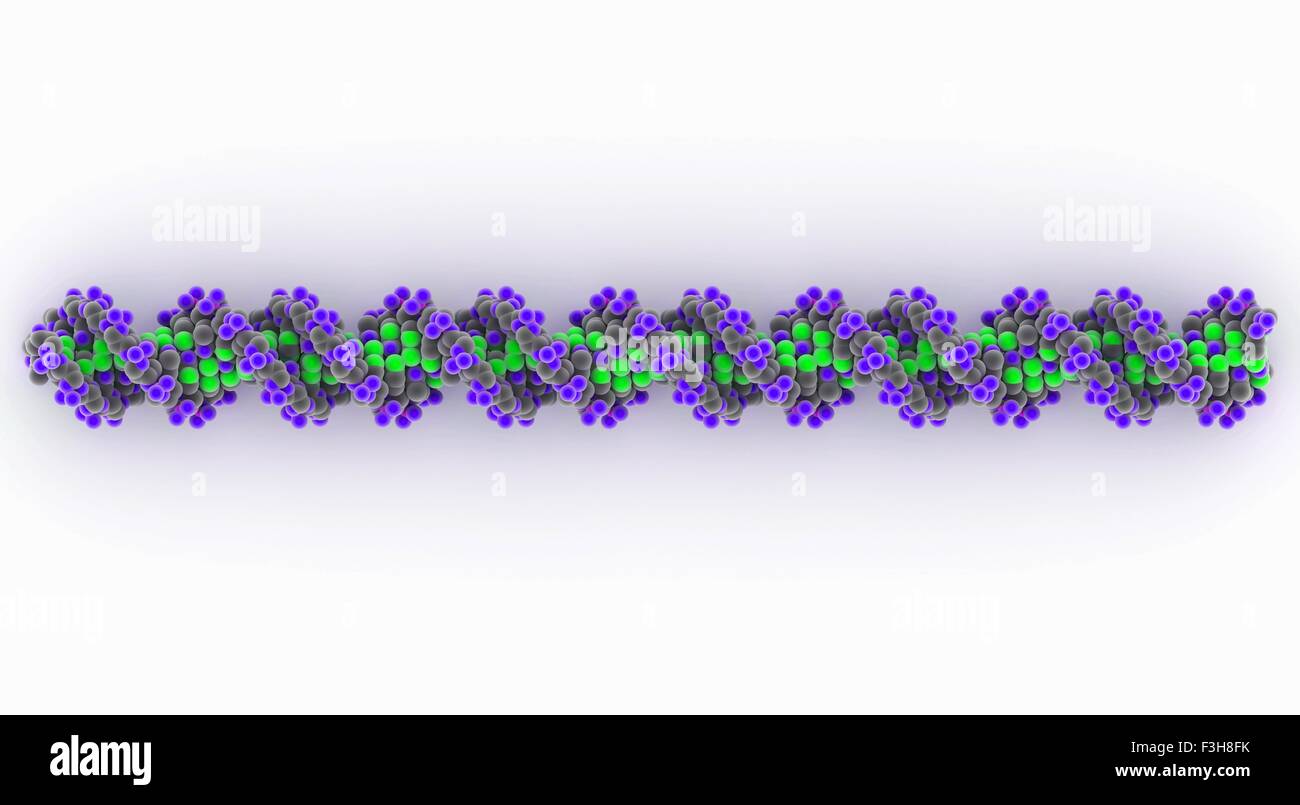 Filamento de la DNA Foto de stock