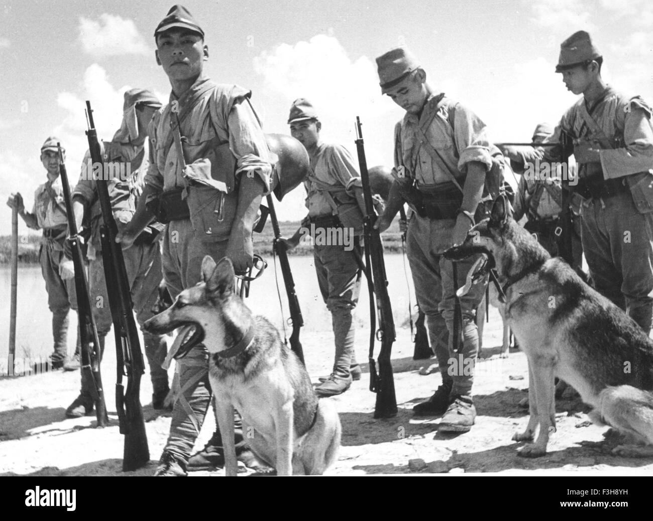 Perro de guerra japonés Imágenes de stock en blanco y negro - Alamy
