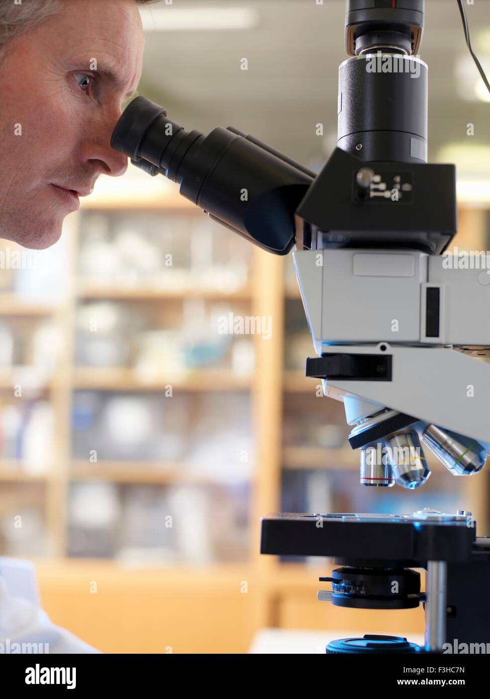 Científico de laboratorio ver slide vertical con microscopio compuesto Foto de stock