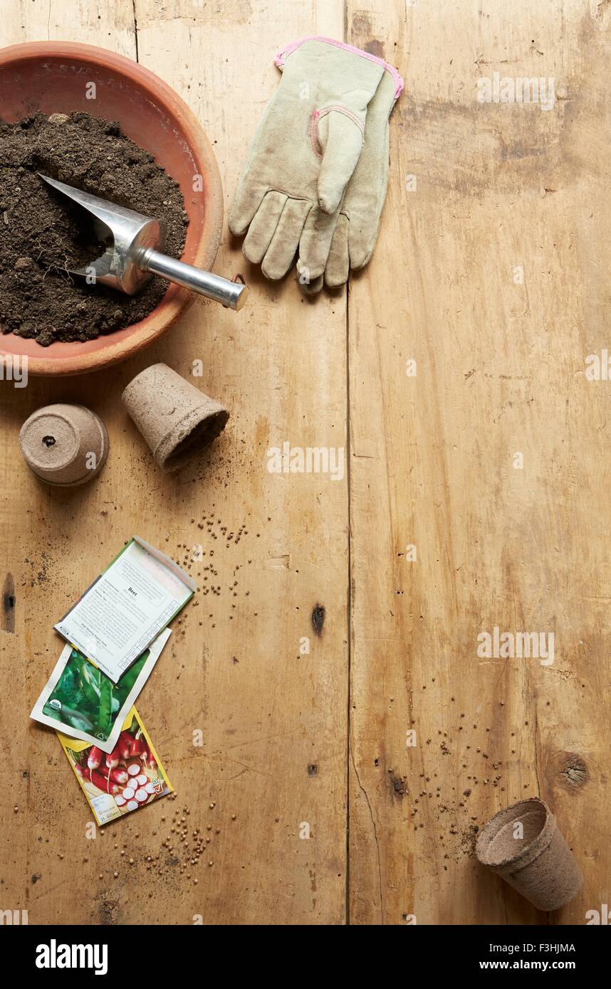 Still life de guantes de jardinería, macetas, semillas y plantas Foto de stock