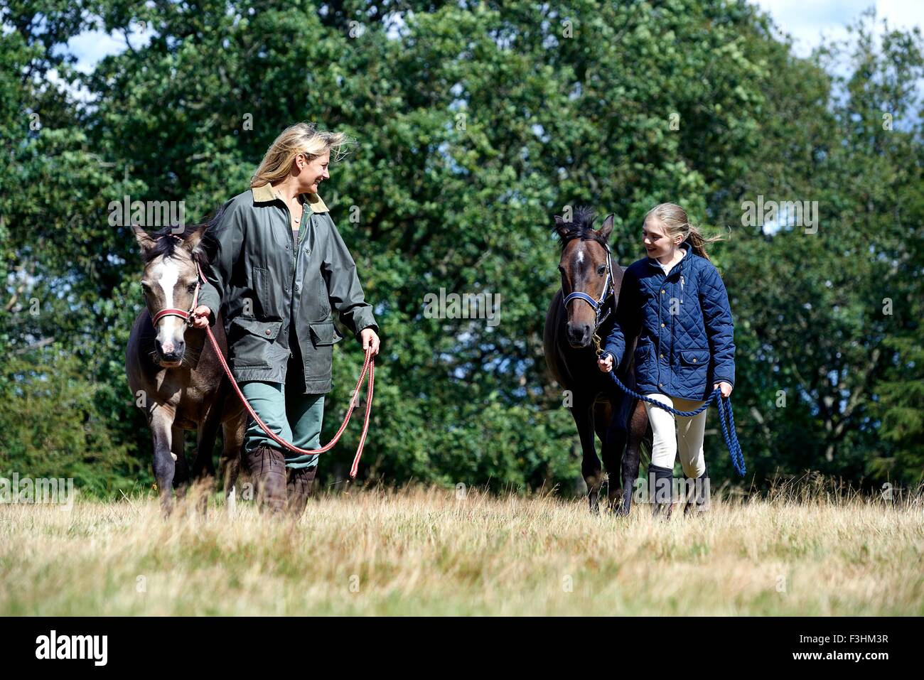 Madre e hija caminando los caballos en el campo Foto de stock