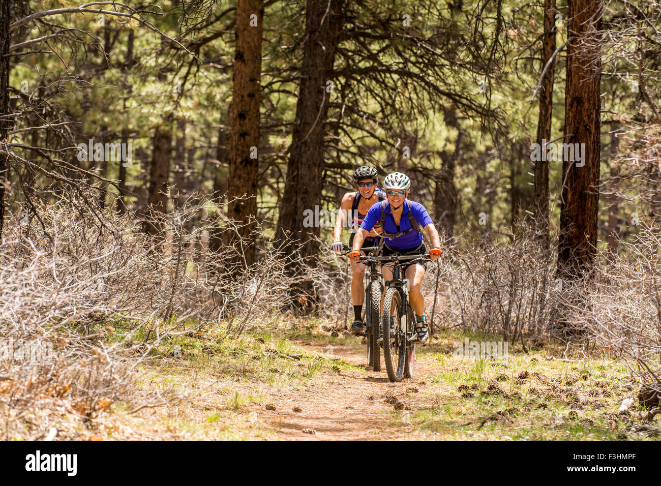 Dos mujeres ciclismo de montaña en el Boggy Dibujar Trail, Dolores, Colorado. Foto de stock