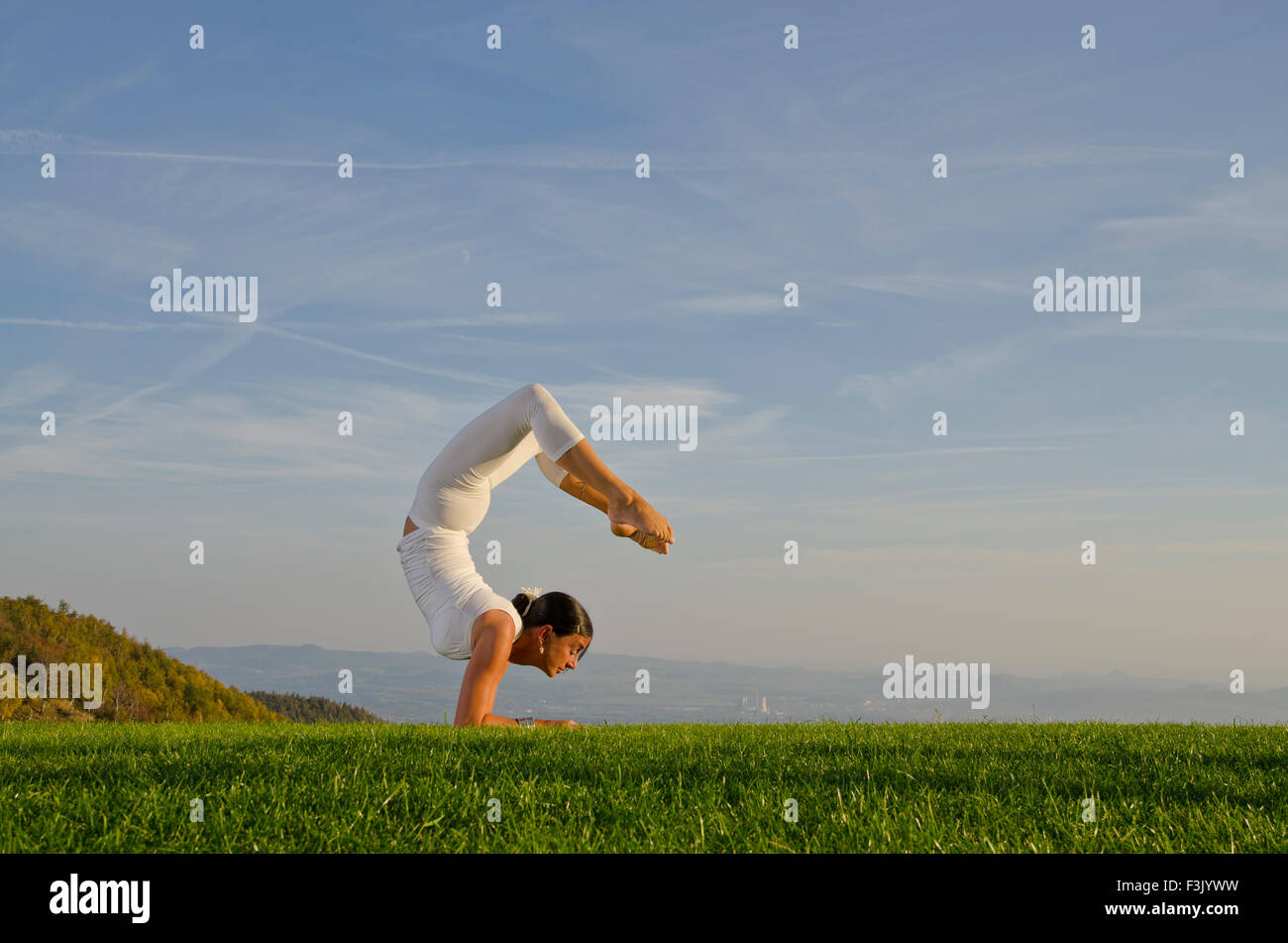 Hatha Yoga Scorpion Pose Hatha Yoga Scorpion Pose