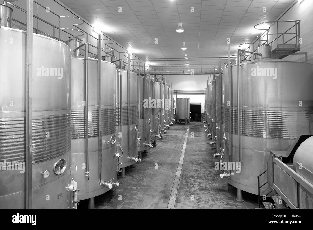 Industrial de vinificación fermentación en barriles de acero Fotografía de  stock - Alamy