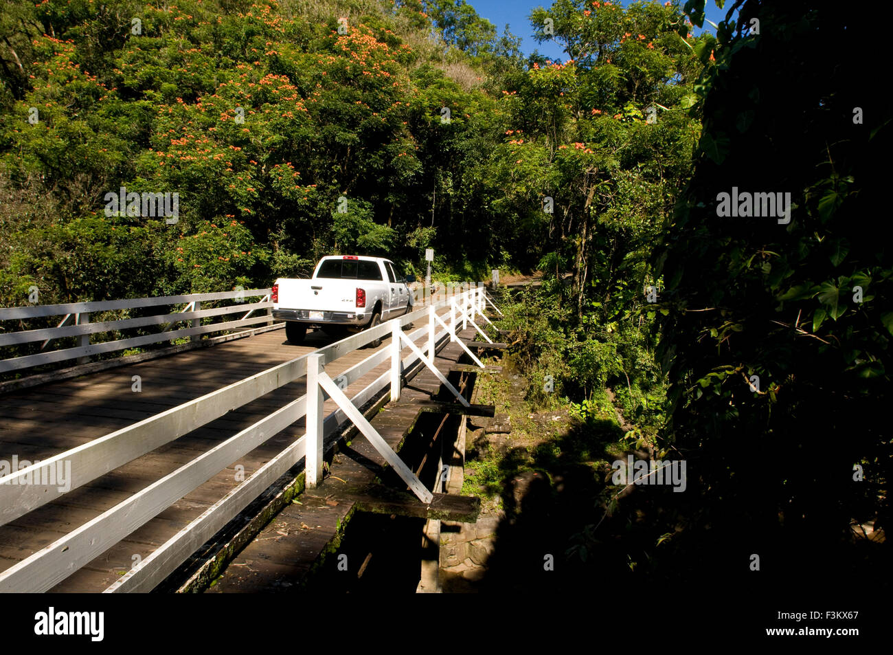 Ruta Panorámica de Pepe'ekeo. Isla Grande. Hawaii. Pepe'ekeo Scenic