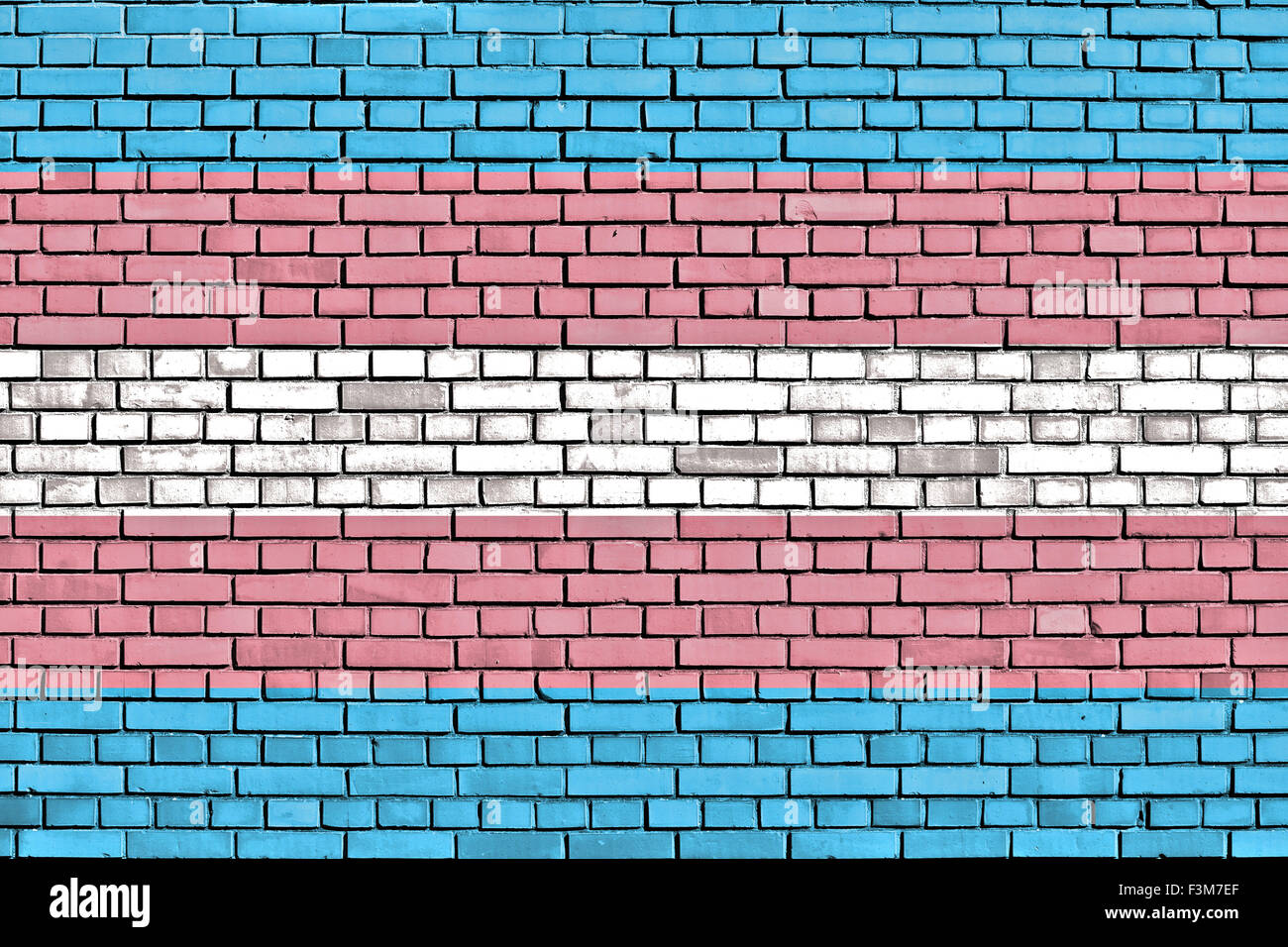 Bandera del orgullo transgénero pintado sobre la pared de ladrillo Foto de stock