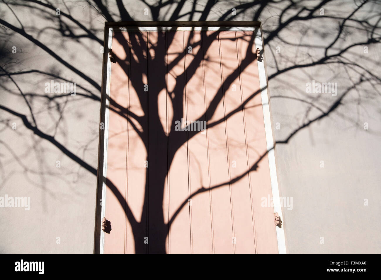 Sombra de árbol a través de la puerta de rosa Foto de stock