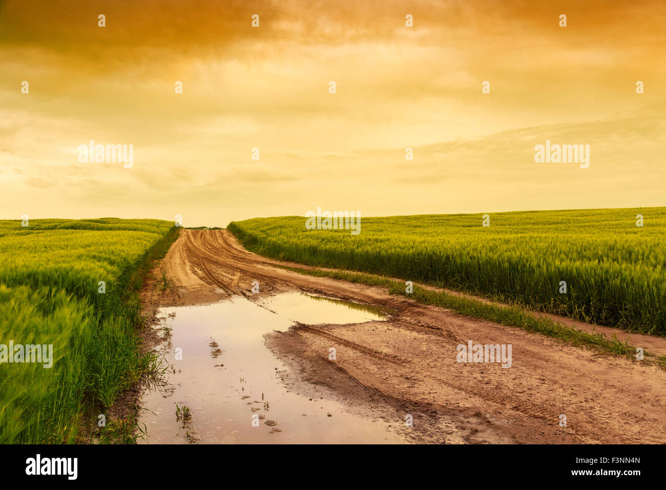 Paisaje de verano con hierba verde, carretera y nubes en Hungría Foto de stock