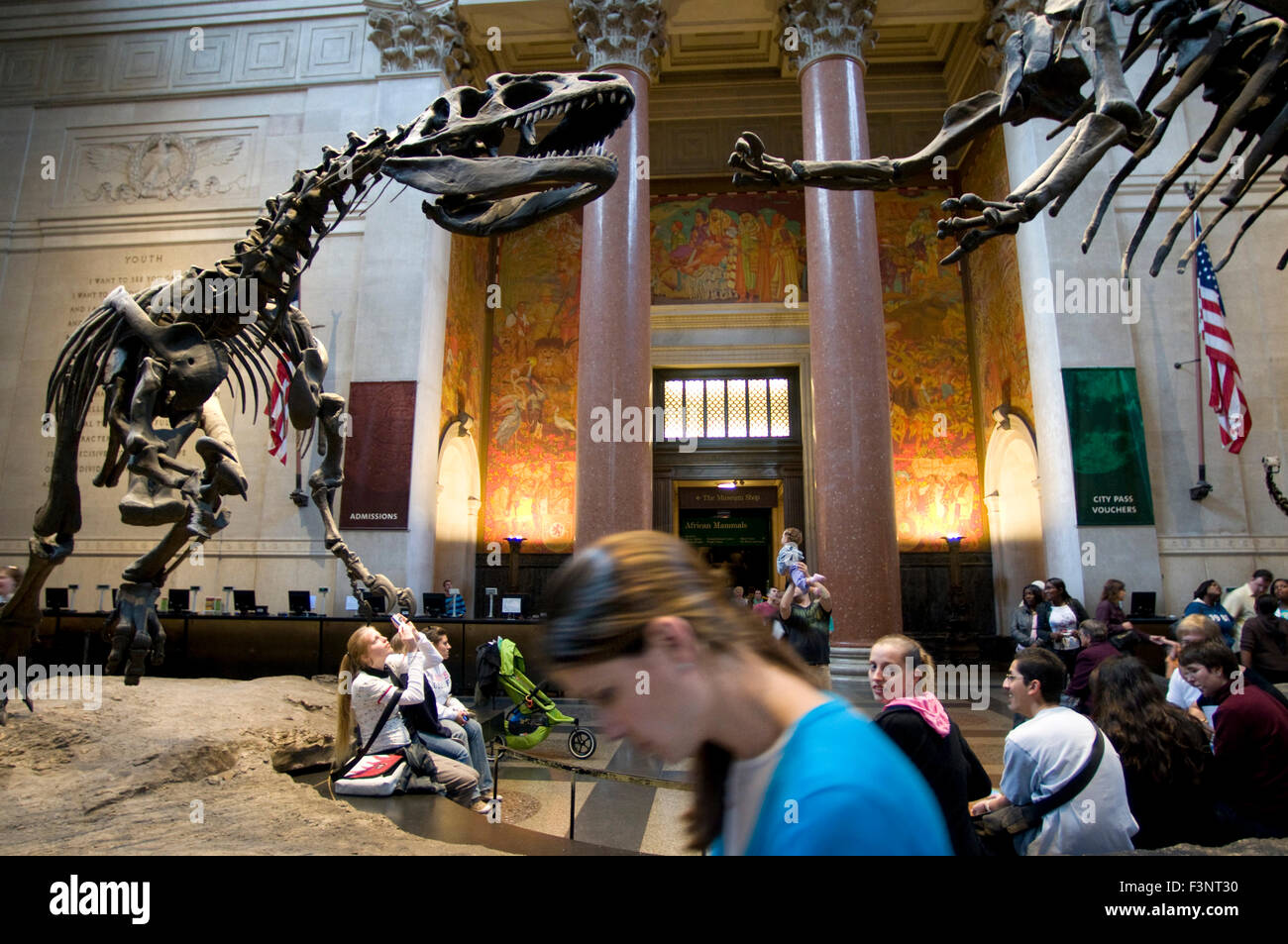 El Museo Americano de Historia Natural. A Central Park West 79th Street. Tel 212-769-5100. (De lunes a domingos de 10am-5: 45pm / cerrado durante el Ch Foto de stock