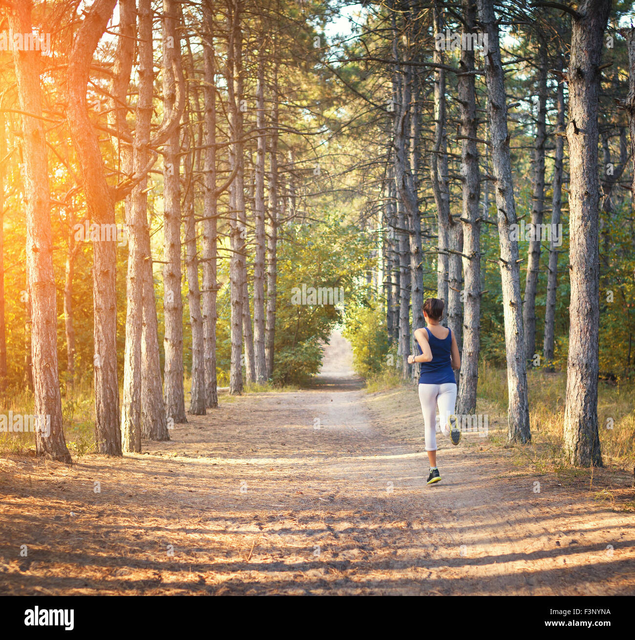 Mujer joven corriendo en un camino rural al atardecer en otoño del bosque. Antecedentes deportivos en el estilo de vida Foto de stock
