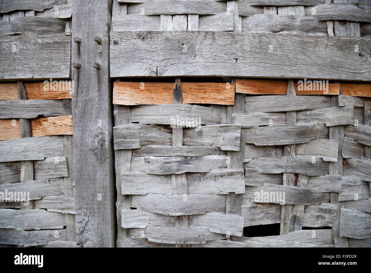 Acacia y el entramado de madera del edificio panel, Inglaterra. Foto de stock