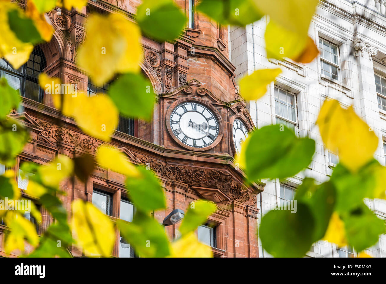 Un reloj visto a través de hojas de color otoñal, Glasgow, Escocia, Reino Unido Foto de stock