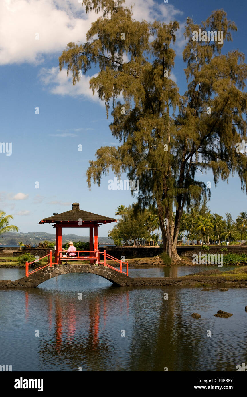 Isla grande de hawaii en hilo fotografías e imágenes de alta resolución