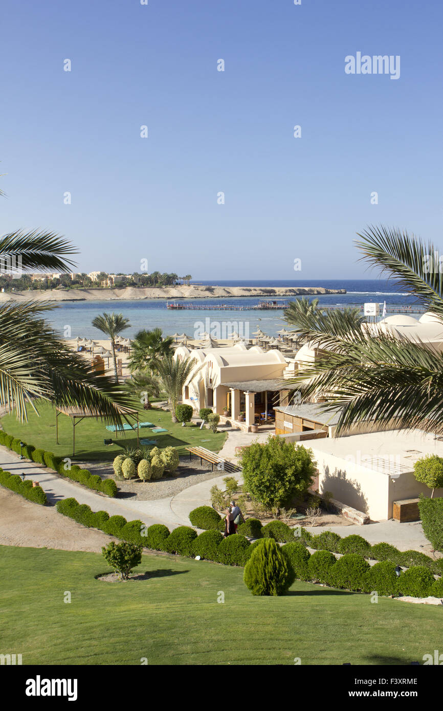 Las palmas en el mar en Egipto con espacio verde Foto de stock
