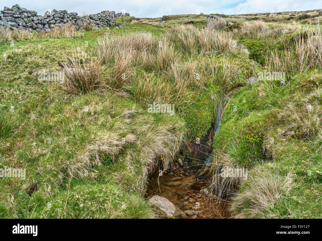 Pequeño arroyo de agua en el Parque Nacional Dartmoor, Devon, Inglaterra, Reino Unido Foto de stock