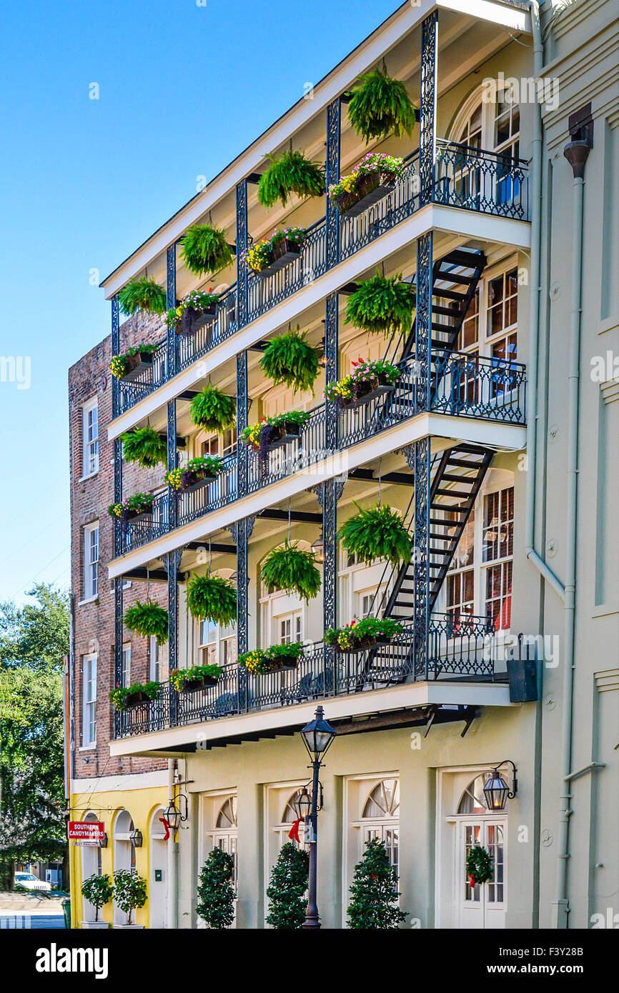 Una hermosa casa de estilo criollo edificio con balcones de hierro forjado negro y plantas colgantes en Decatur St., Nueva Orleans, Luisiana Foto de stock