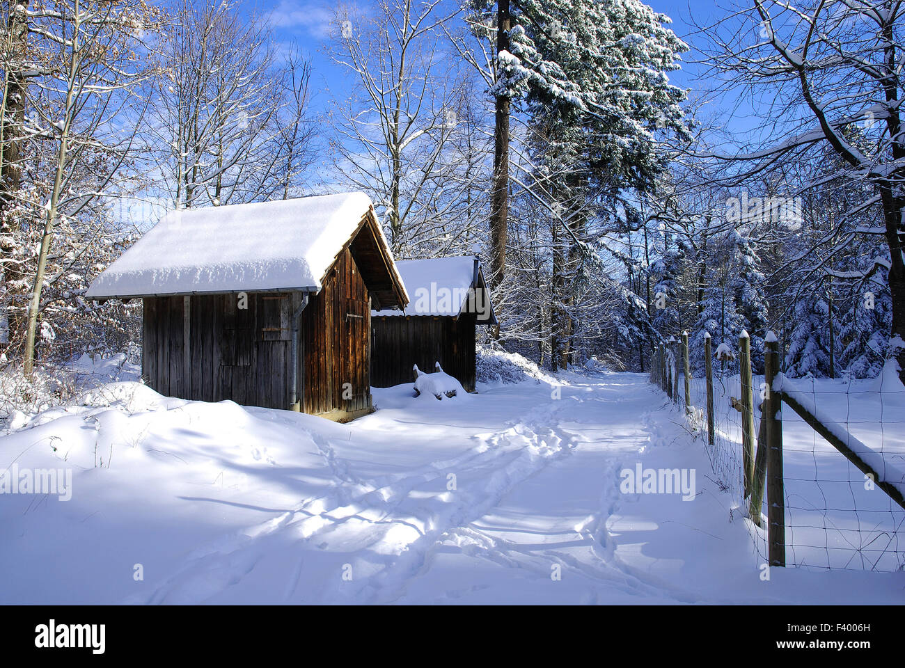 En invierno la nieve; bosques; hut; Foto de stock