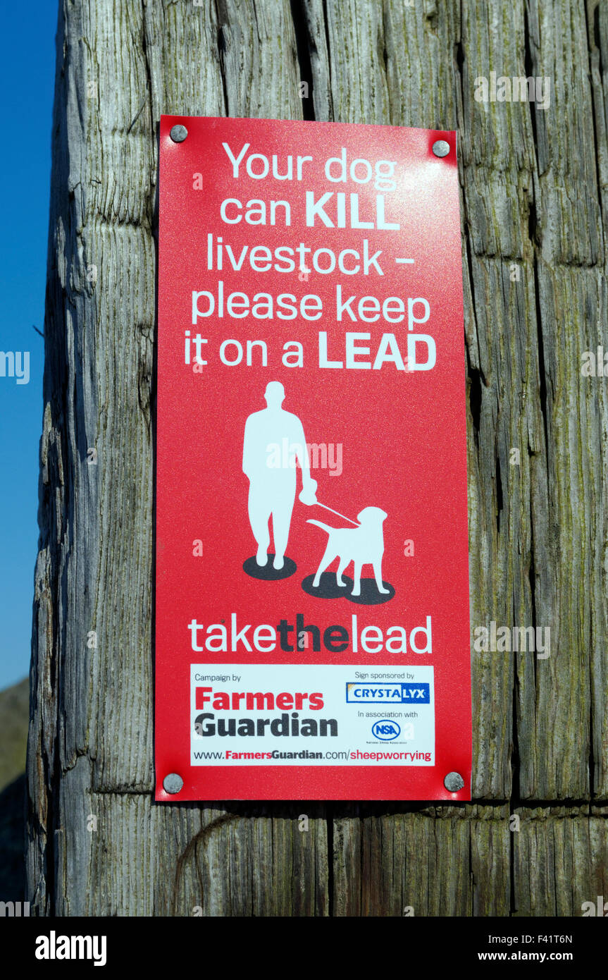 Advertencia a los paseadores de perros para mantener a los perros en plomo, Aber valle cerca de Caerphilly, al sur de Gales, Reino Unido. Foto de stock