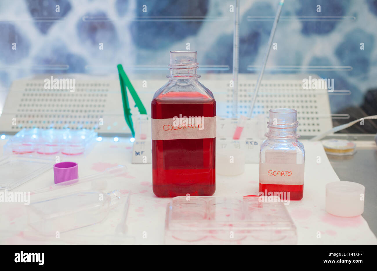 Cierre de botella de colorante en el laboratorio de análisis Foto de stock