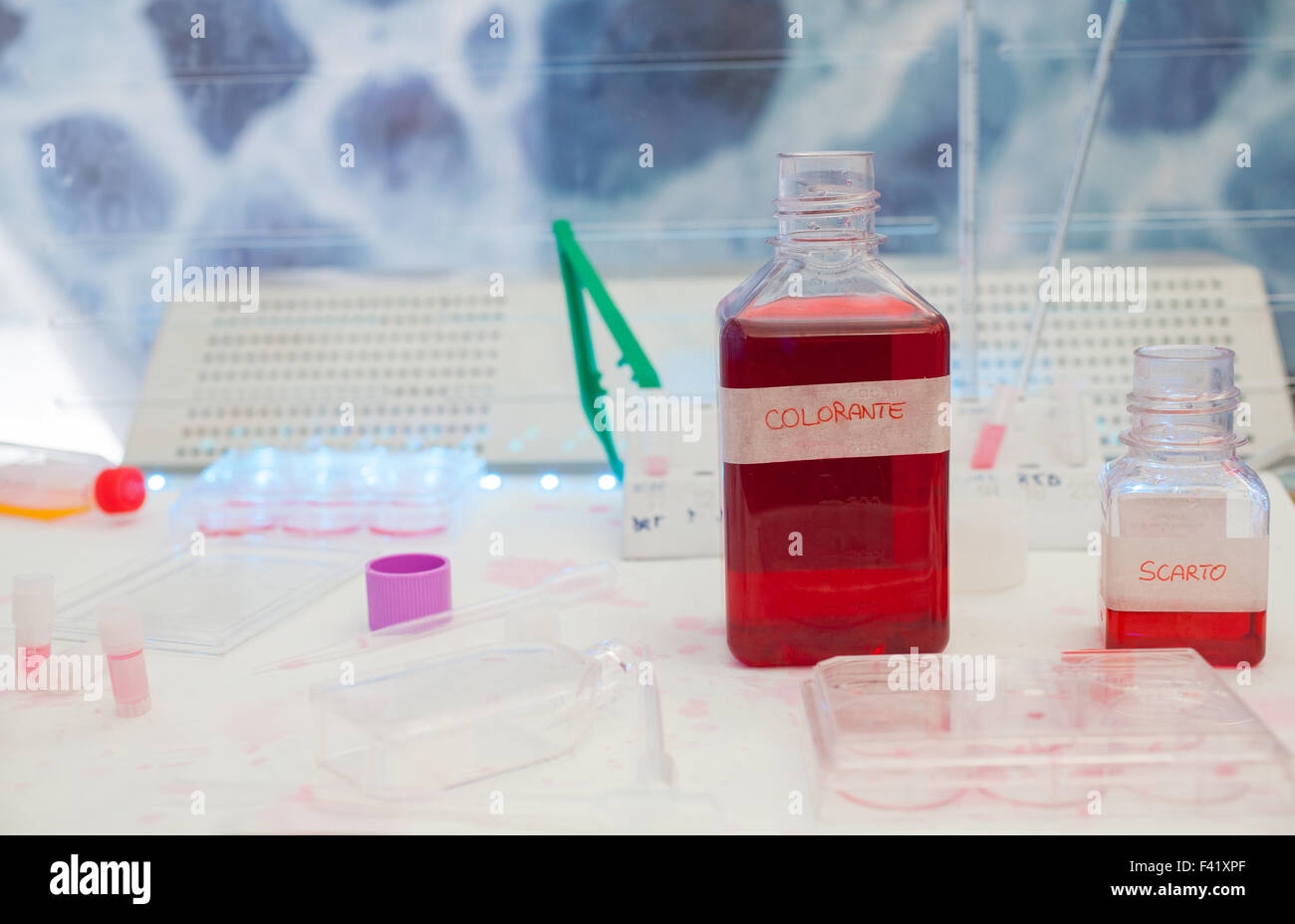 Cierre de botella de colorante en el laboratorio de análisis Foto de stock