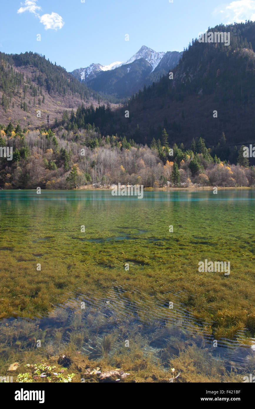 Lago coloridos en Jiu Zhai Gou, Sichuan, China Foto de stock