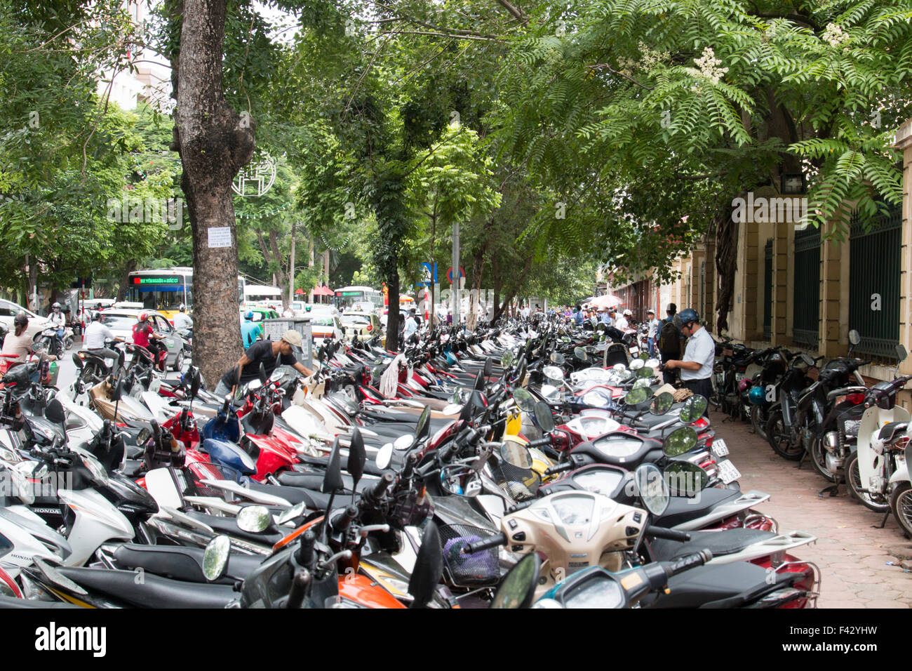Fila tras fila de motos estacionadas en Hanoi, la capital de Vietnam. Más de 45 millones de scooters en Vietnam, Asia Foto de stock
